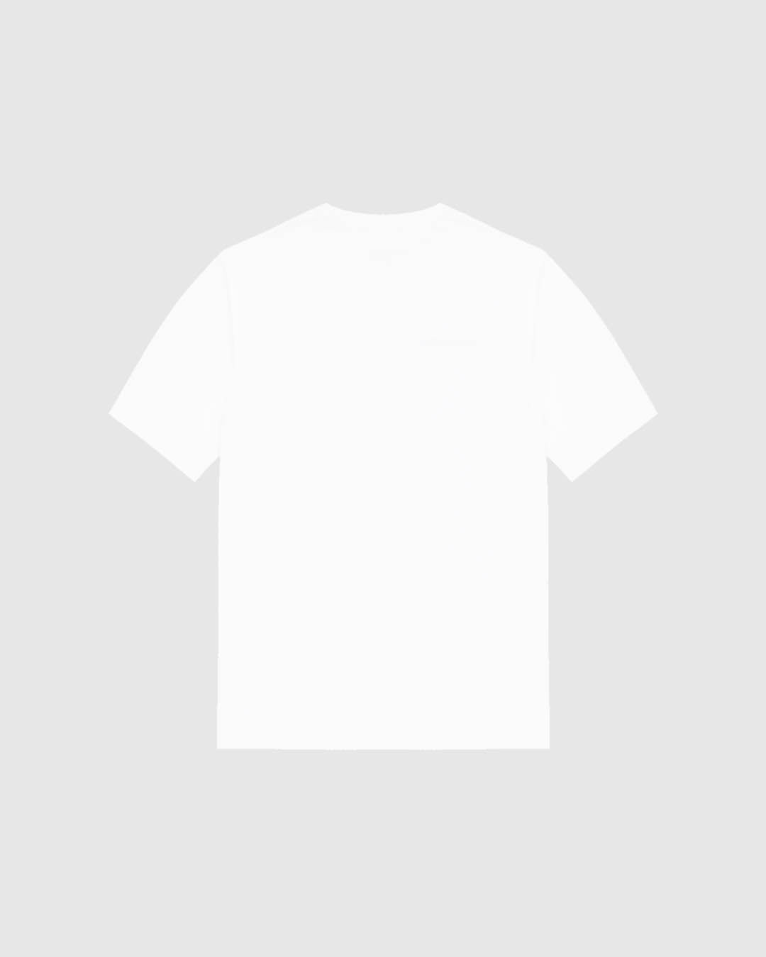 EP:0110 - Performance Tee 2.0 - White